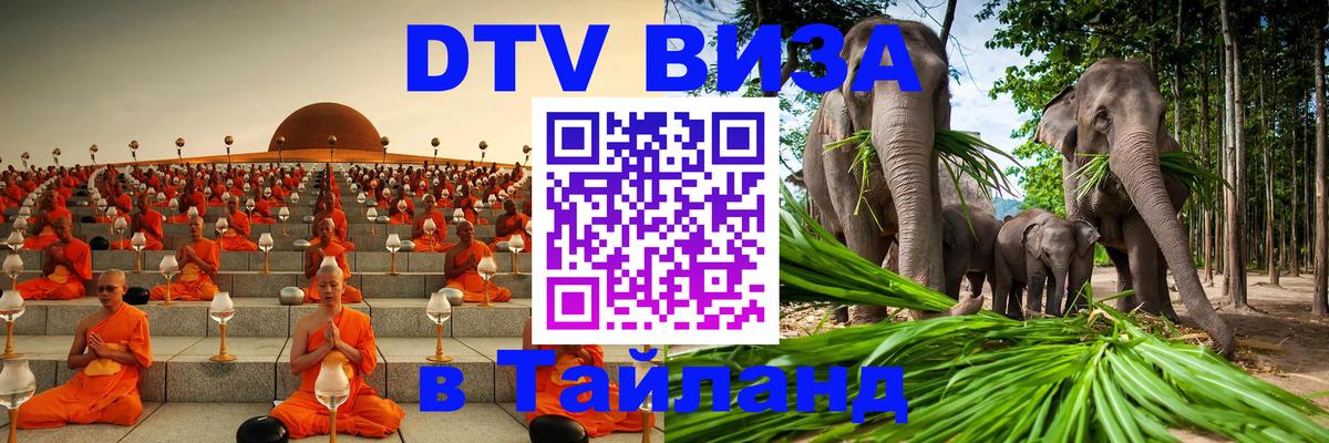 Как сделать DTV визу в Тайланд Новороссийск 
